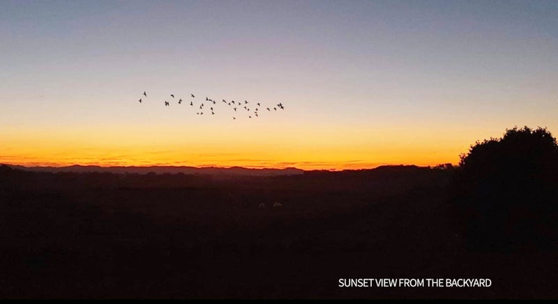 7 Country Lane, Western Heights, Hamilton - Carousel 23