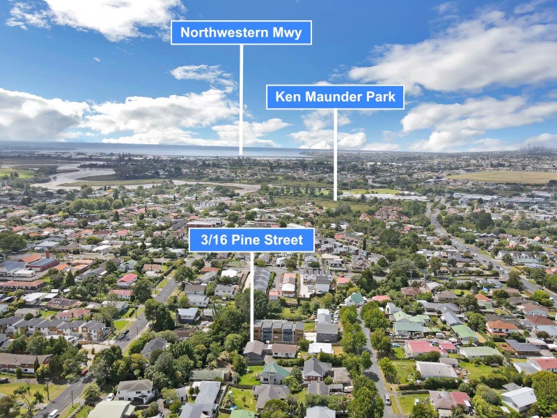 1/16 Pine Street, New Lynn, Auckland - Carousel 24