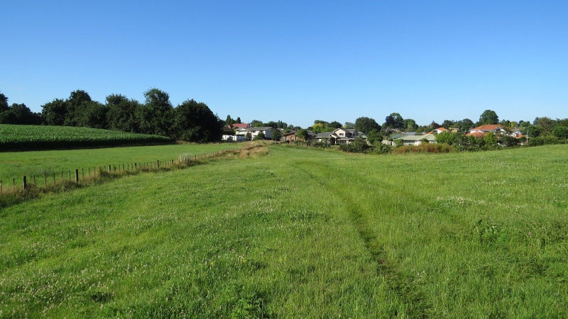 6 Seales Road, Morrinsville, Morrinsville - Carousel 2