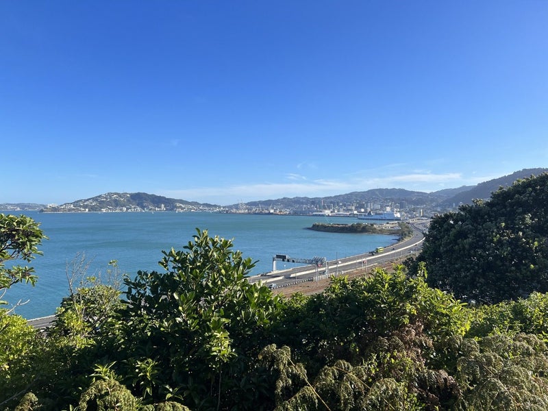 6 Rangiora Avenue, Kaiwharawhara, Wellington - Carousel 1