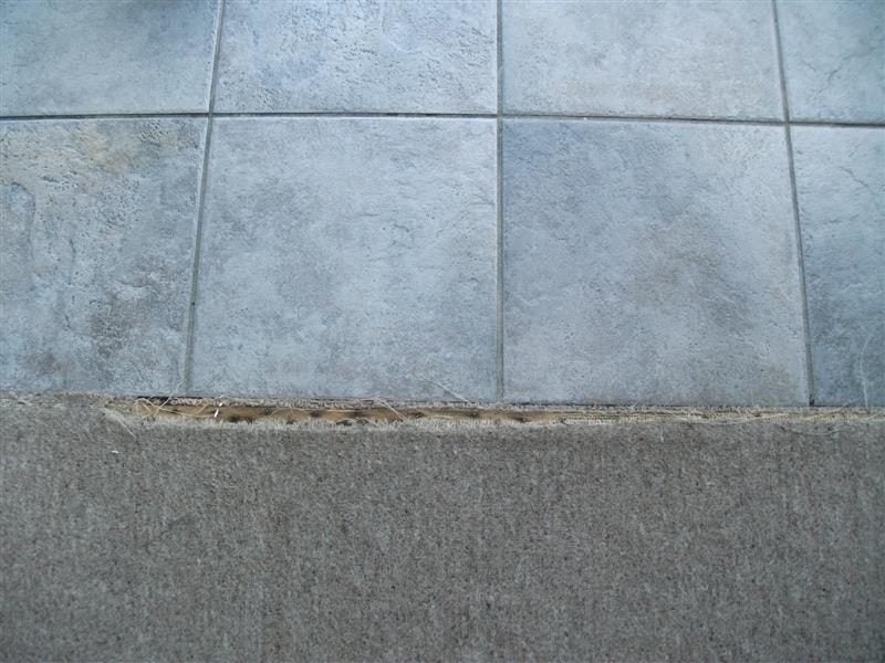 163A Eye Street, Appleby, Invercargill - Carousel 10