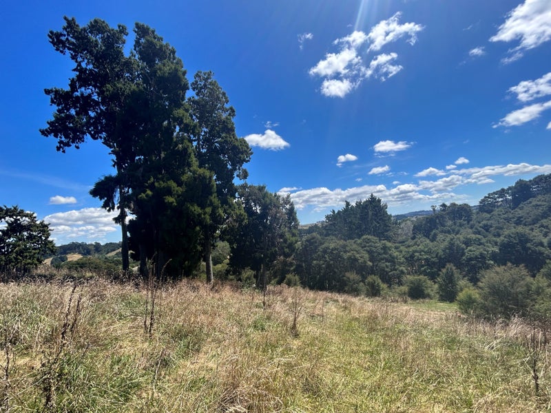 848 Paparimu Road, MANGATAWHIRI - Carousel 2