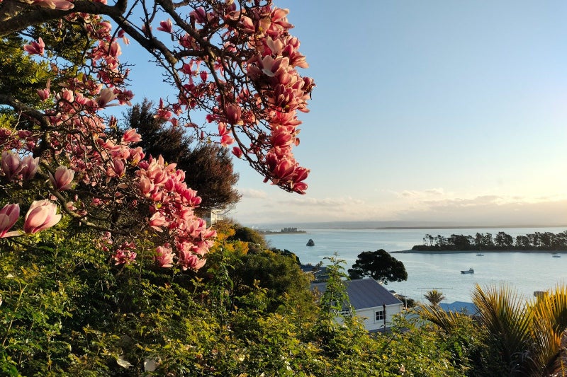 11 Fifeshire Crescent, Stepneyville, Nelson - Carousel 2