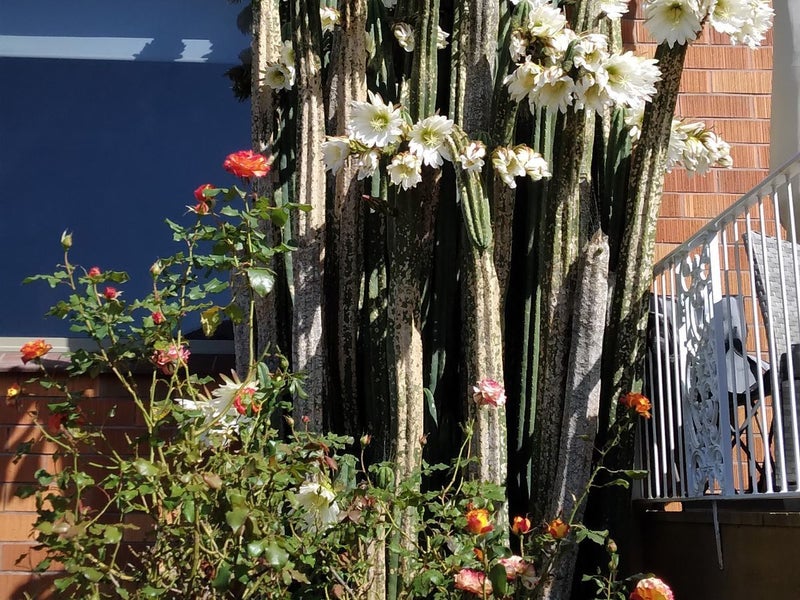 574 Brighton Road, Westwood, Dunedin - Carousel 28