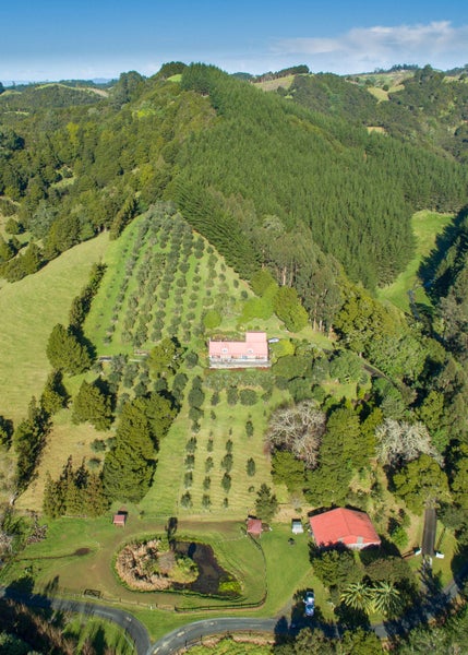 79 Ross Road, Whangarei - Carousel 20