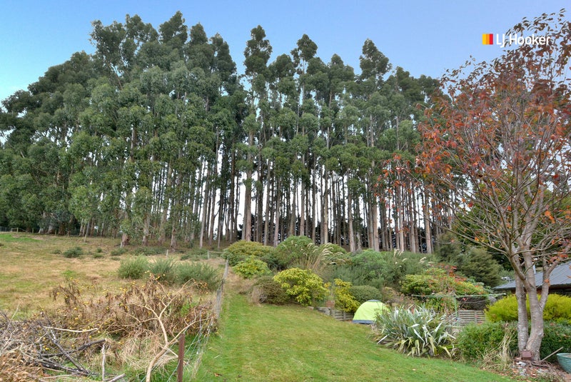 65 Poulters Road, Leith Valley, Dunedin - Carousel 24