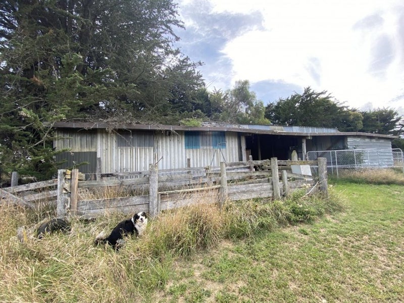 110 Revells Road, Flaxton - Carousel 20