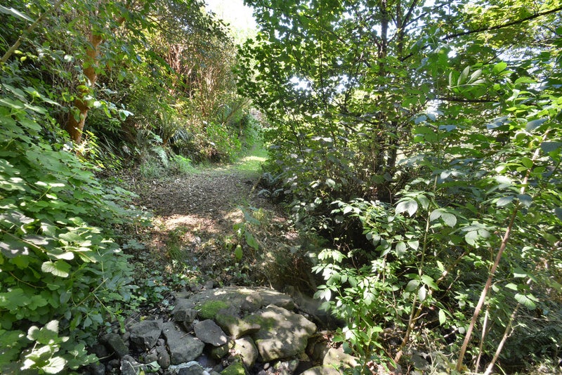 18 Lancefield Street, Balaclava, Dunedin - Carousel 6