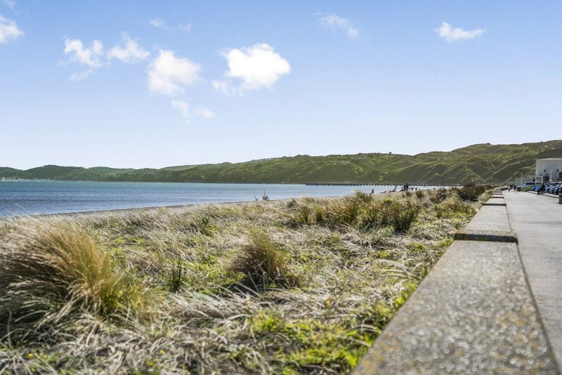 17 Collins Street, Petone, Lower Hutt - Carousel 22