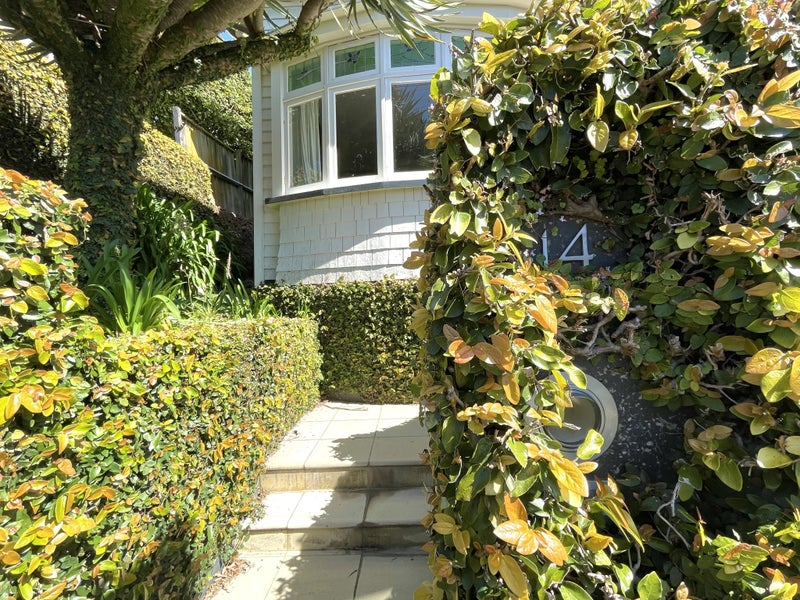 14 Vine Street, Saint Marys Bay, Auckland - Carousel 2