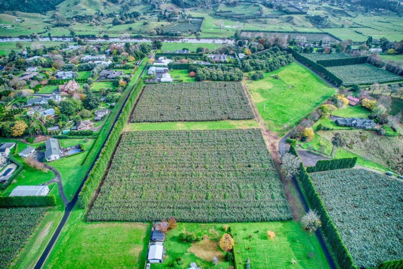36 Echo Valley Way, Tauriko, Tauranga - Carousel 2