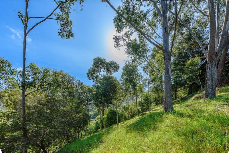 16 Zephyr Terrace, Governors Bay - Carousel 21