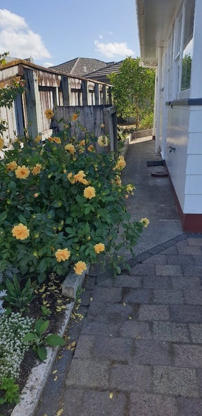 188A Brooklands Road, Vogeltown, New Plymouth - Carousel 9