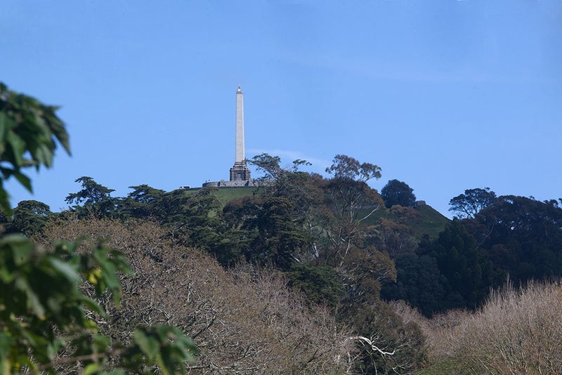 170 Campbell Road, Greenlane, Auckland - Carousel 13