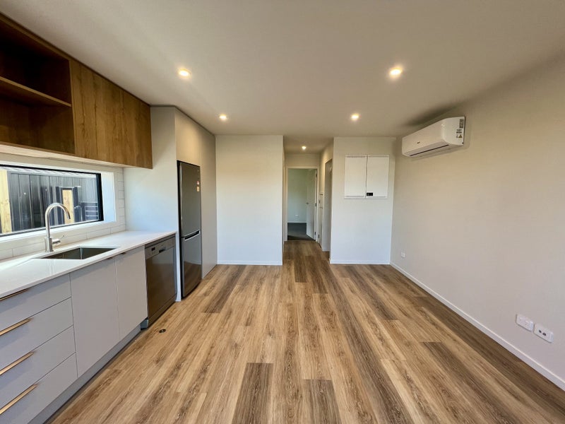 1/7 Birch Street, Hutt Central, Lower Hutt - Carousel 2