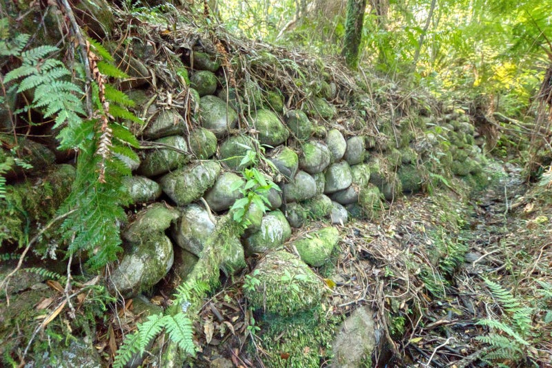 758 Rutherglen Road, Marsden, Greymouth - Carousel 40