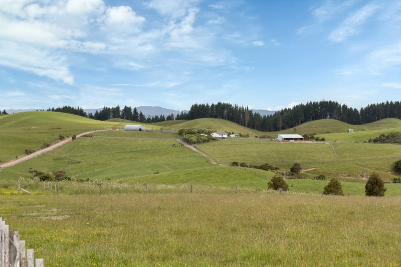 579 Ormiston Road, Waipu - Carousel 23