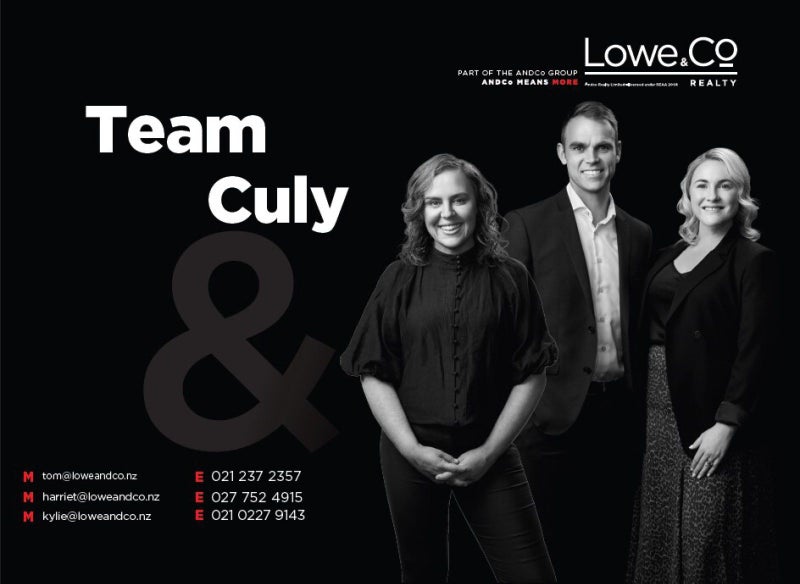 26 Hawker Street, Mount Victoria, Wellington - Carousel 28