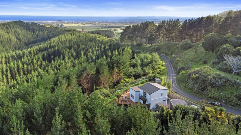 248 Reid Road, Te Puke - Carousel 1