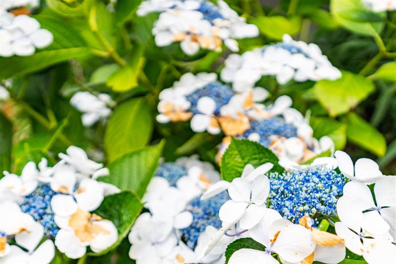 35 Olsen Avenue, Mangawhai Heads, Mangawhai - Carousel 20