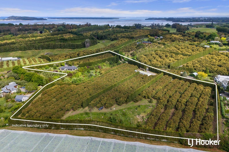 55 Waiau Crescent, Kingswell, Invercargill - Carousel 2