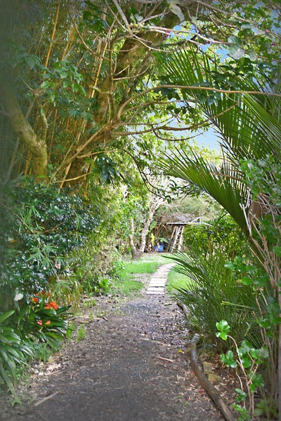 58 Birdsall Road, Warkworth - Carousel 30