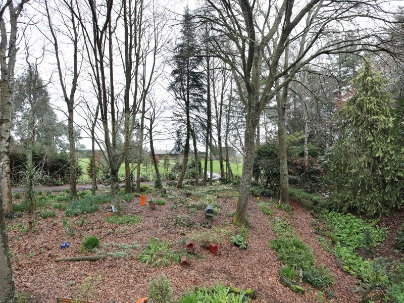 11 Lind Street, Kimbolton, Feilding - Carousel 15