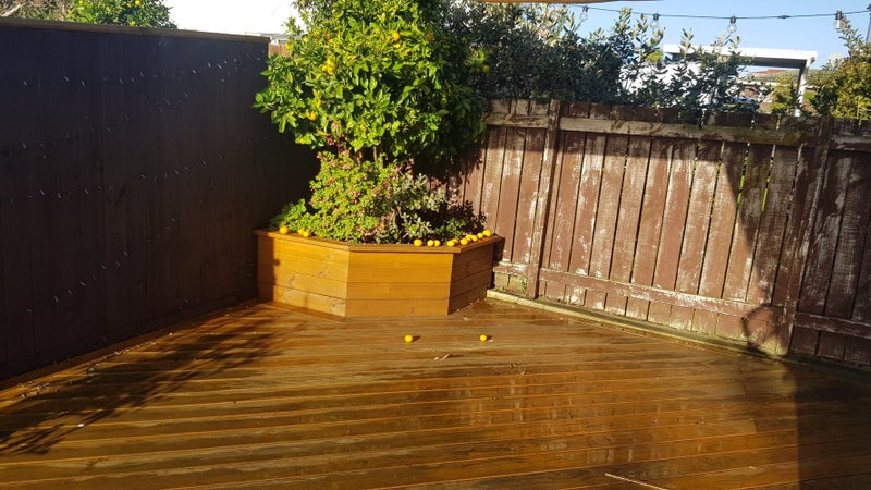 1/21 Ballater Place, Highland Park, Auckland - Carousel 14