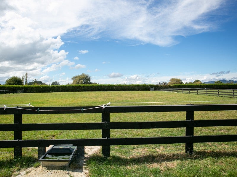688 Bruntwood Road, Tamahere, Hamilton - Carousel 2