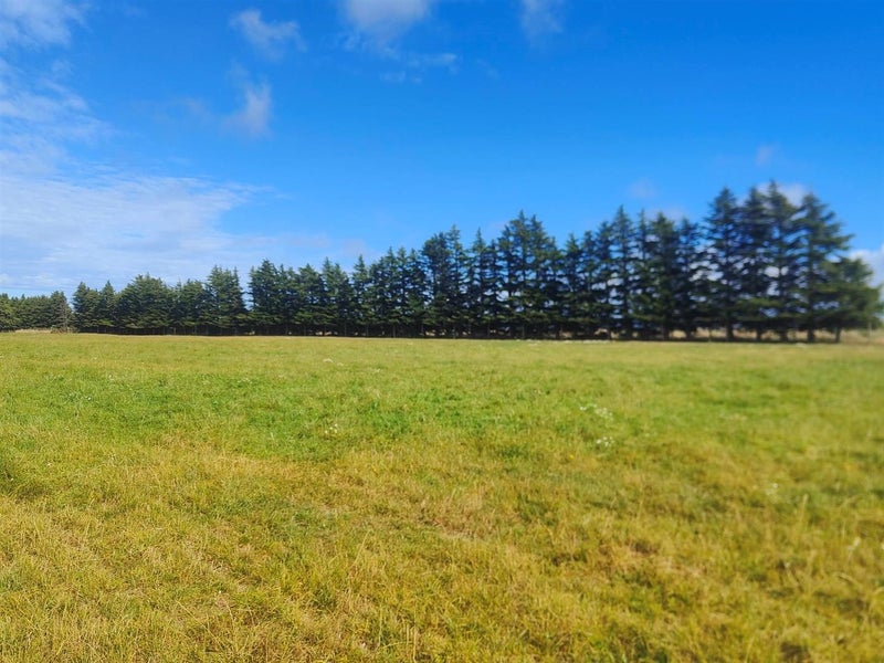 111 Tramway Road, Darfield - Carousel 1