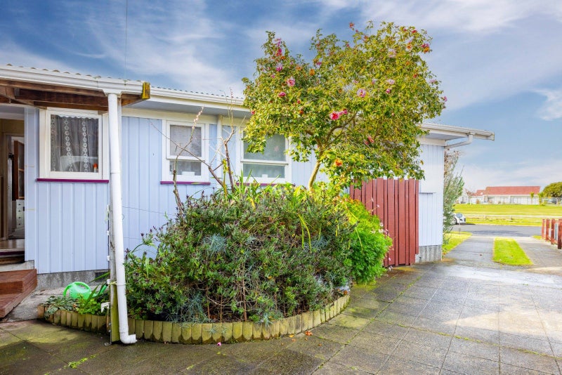 24 Essex Street, Tamatea, Napier - Carousel 20