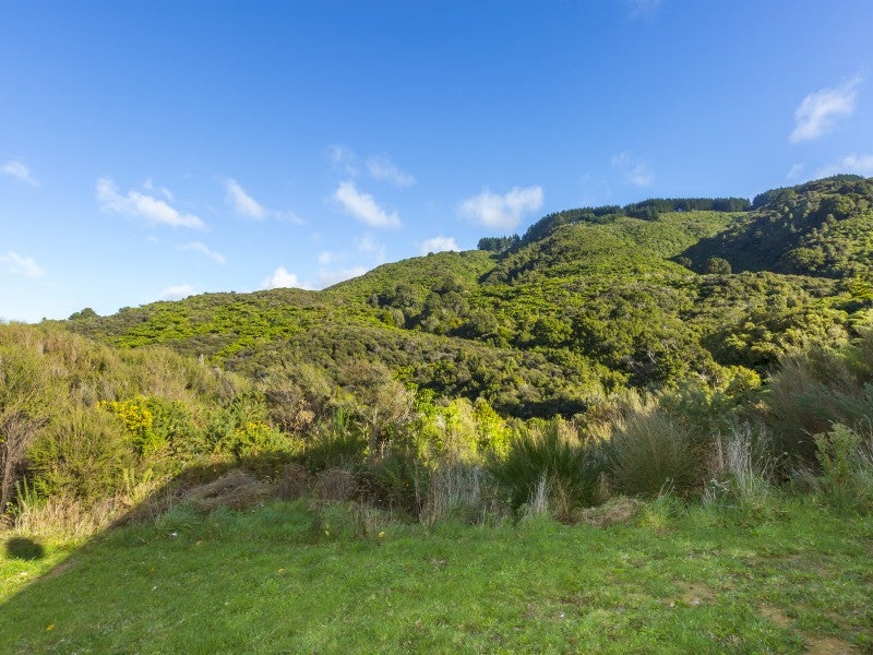 677 Moonshine Hill Road, Moonshine Valley, Porirua - Carousel 2