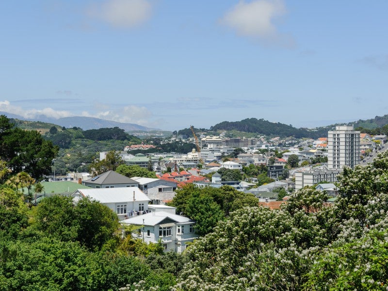 33 Devon Street, Aro Valley, Wellington - Carousel 18