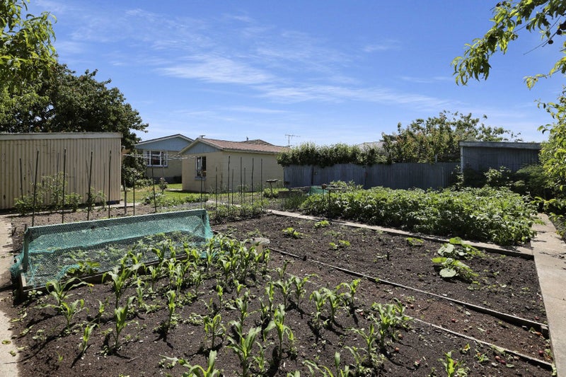 149 Thomson Street, Tinwald, Ashburton - Carousel 28