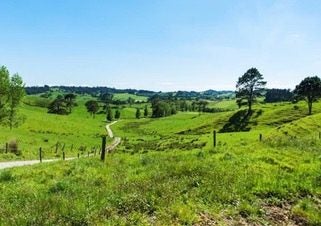 0 Kahikatea Flat Road, Waitoki, Waitoki - Carousel 18