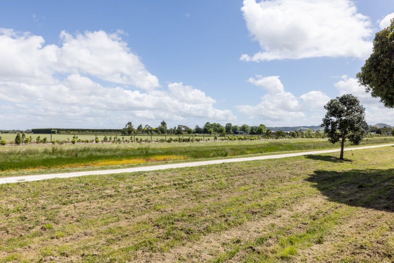 47 Henley Crescent, Pirimai, Napier - Carousel 22