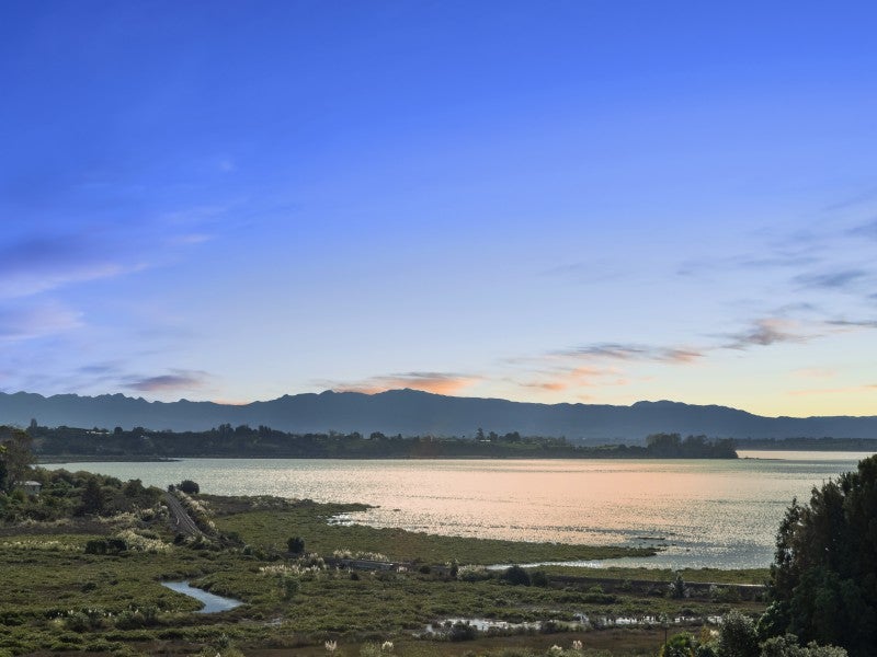 82 Anne Road, Bellevue, Tauranga - Carousel 2