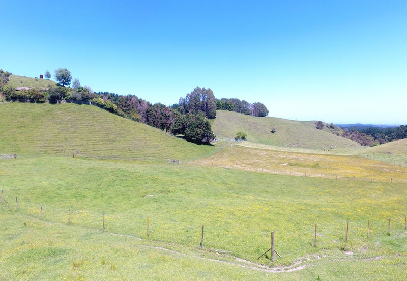 936 Herepuru Road, Matata, Whakatane - Carousel 26