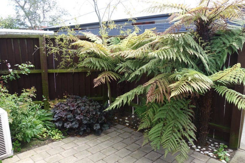 5/13 Bordesley Street, Phillipstown, Christchurch - Carousel 8