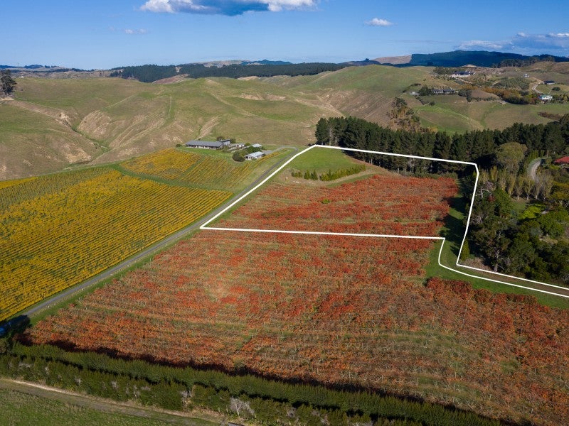 81 Millar Road, Hastings - Carousel 2