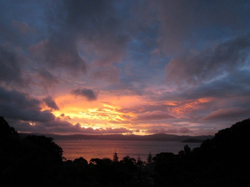 34 Moana Road, Days Bay, Lower Hutt - Carousel 2