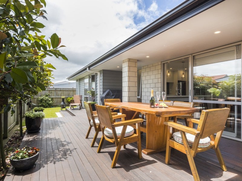31A Manson Street, Terrace End, Palmerston North - Carousel 1