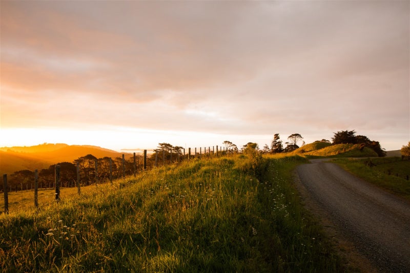307 Dill Road, Kaipara Flats, Warkworth - Carousel 1