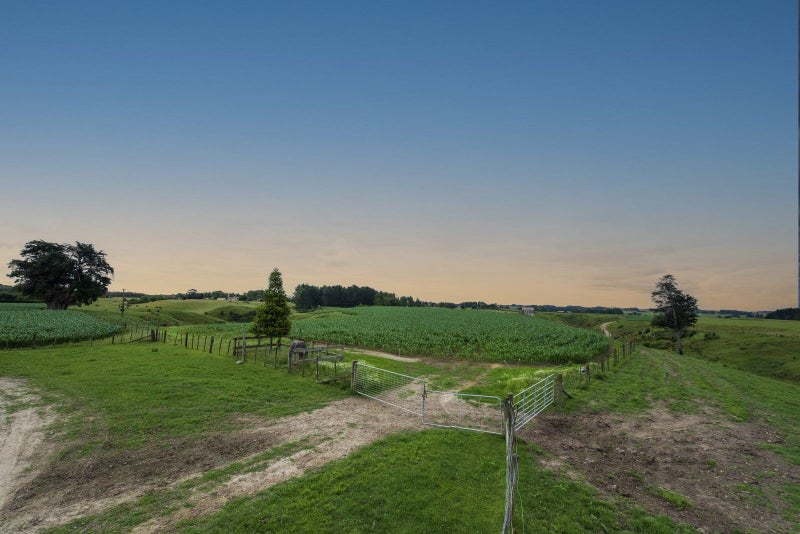 0 Koputaroa Road, Koputaroa, Shannon - Carousel 27