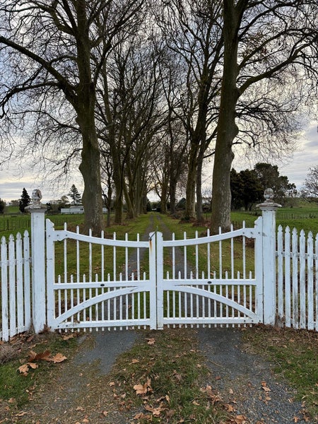 1295 Tauwhare Road, Eureka, Hamilton - Carousel 2