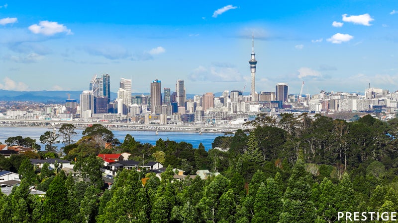 38 Balmain Road, Chatswood, Auckland - Carousel 1