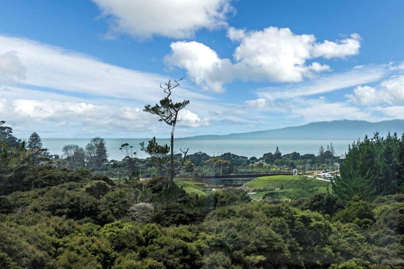 82 Vaughans Road, Albany - Carousel 2