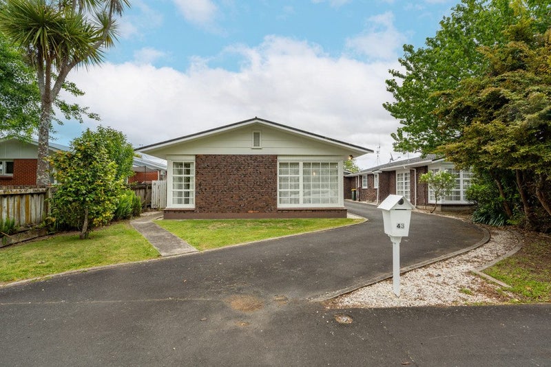 43 Casey Avenue, Fairfield, Hamilton - Carousel 2