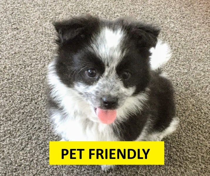 1617/26 Albert Street, Auckland Central, Auckland - Carousel 25