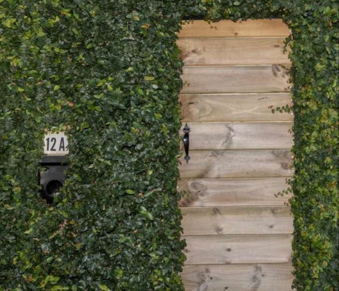 12A Tomoana Road, Mahora, Hastings - Carousel 24